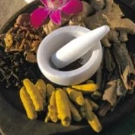 Ayurvedic wellness centre in London